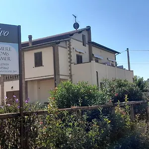 Il Vecchio Olivo Castagneto Carducci